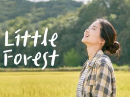 Litle Forest