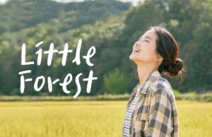Litle Forest