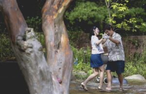 Review film “No Other Choice”: Tertawa di Tengah Keputusasaan Hidup No-Other-Choice